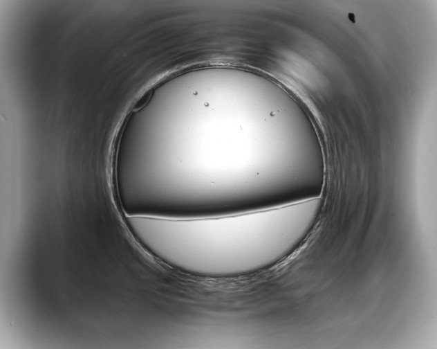 X0000088701437200705311008