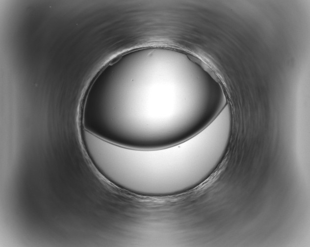 X0000088701438200705311008