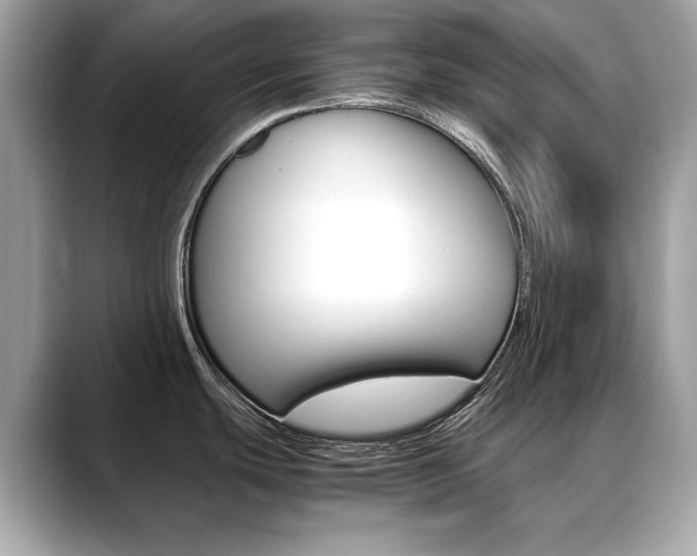 X0000088701439200705311008