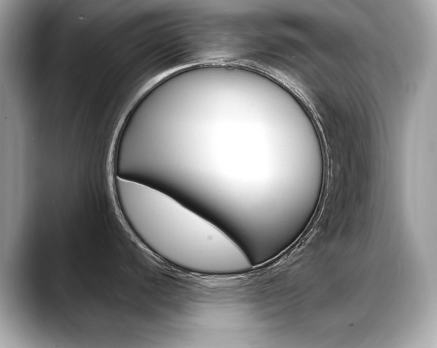 X0000088701440200705311008