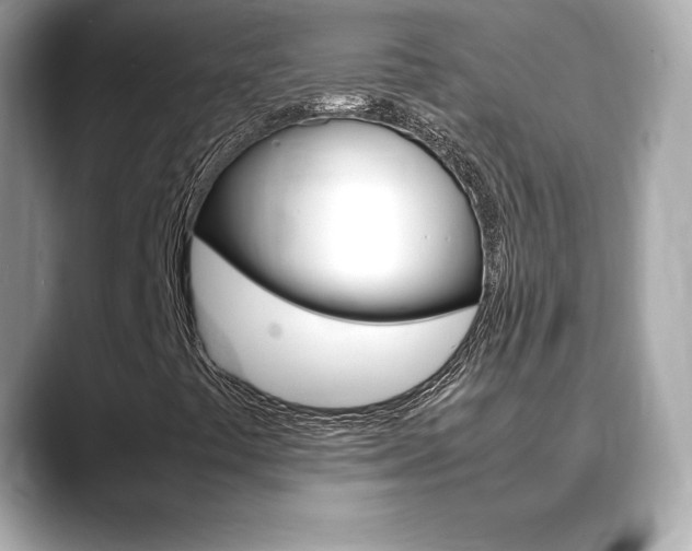 X0000088701441200705311007