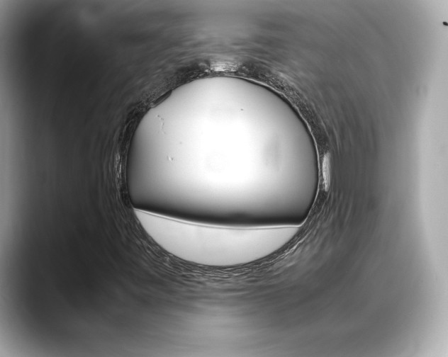 X0000088701443200705311007