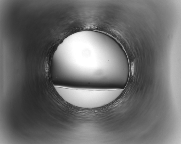 X0000088701444200705311007
