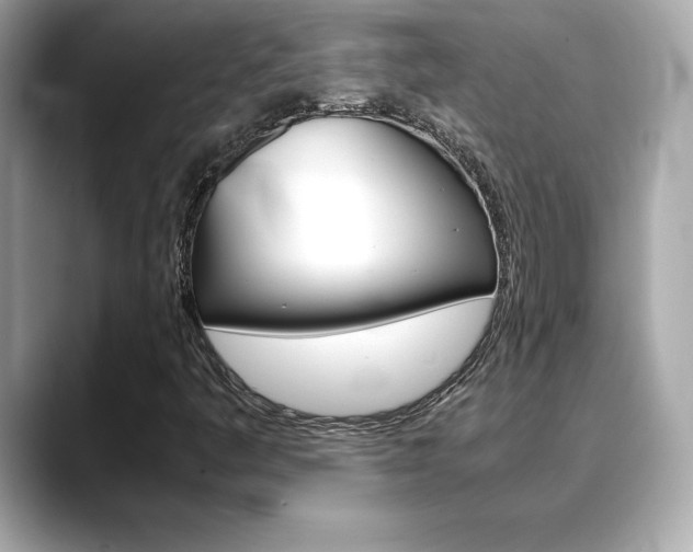 X0000088701445200705311007