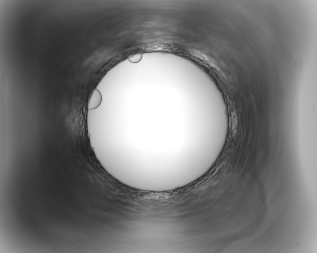 X0000088701446200705311007