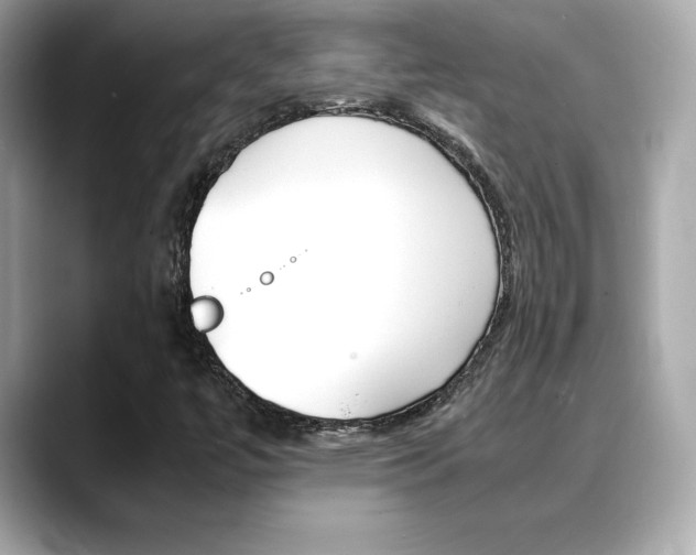 X0000088701447200705311007