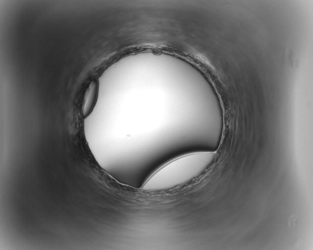X0000088701448200705311007