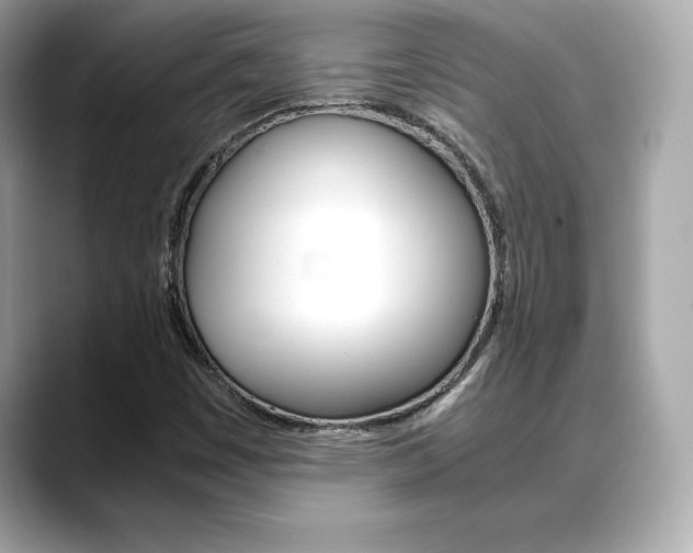 X0000088701449200705311007
