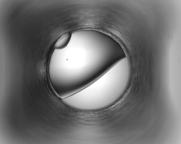 X0000088701450200705311007