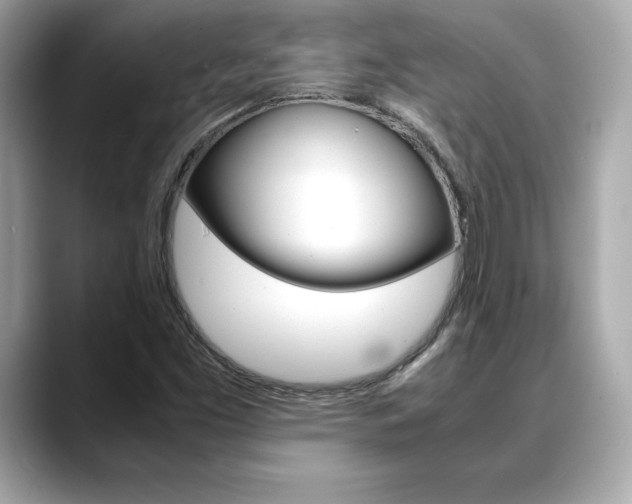 X0000088701453200705311007