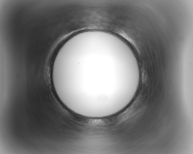 X0000088701454200705311007