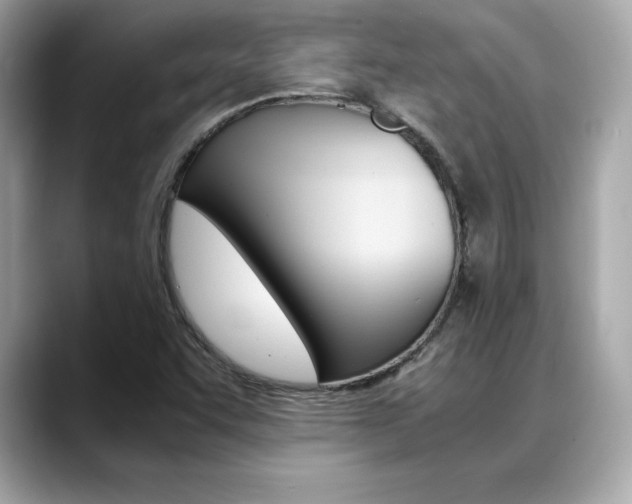X0000088701455200705311007