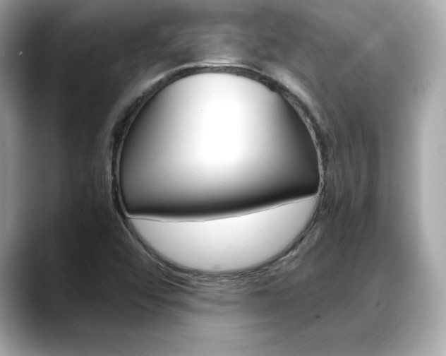 X0000088701456200705311007