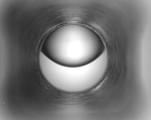 X0000088701457200705311007