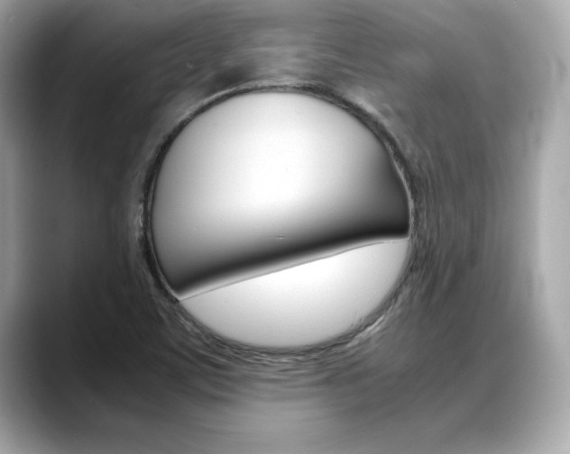 X0000088701459200705311007