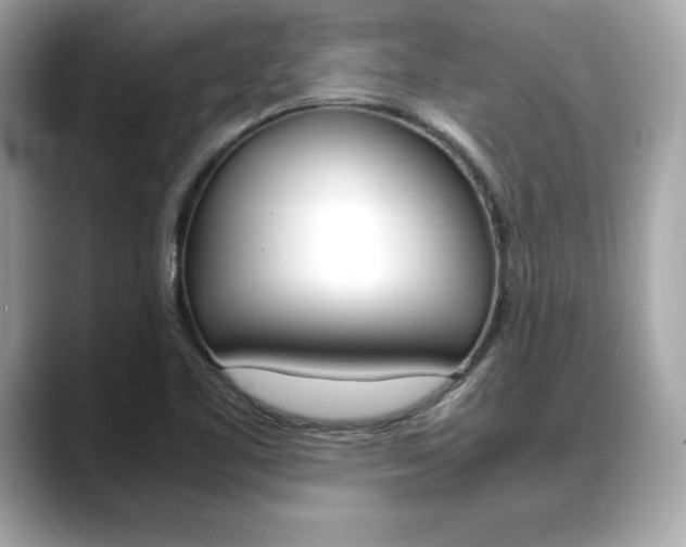 X0000088701461200705311007