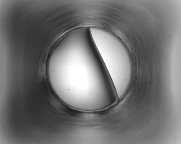 X0000088701465200705311007