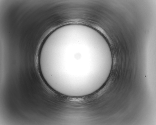 X0000088701466200705311007