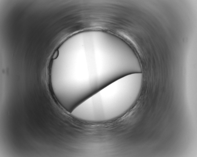 X0000088701467200705311007