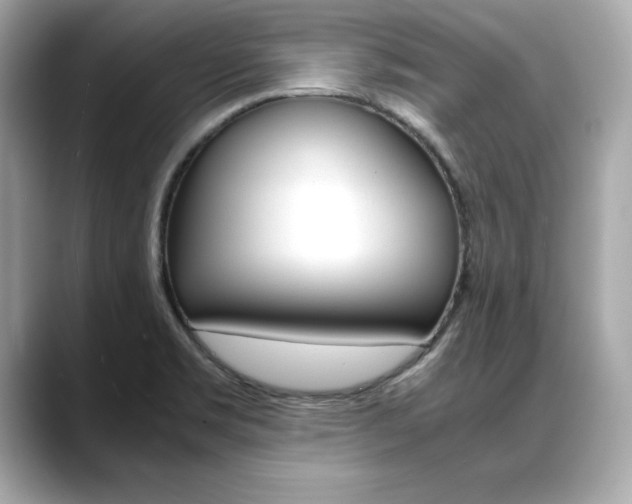 X0000088701469200705311007