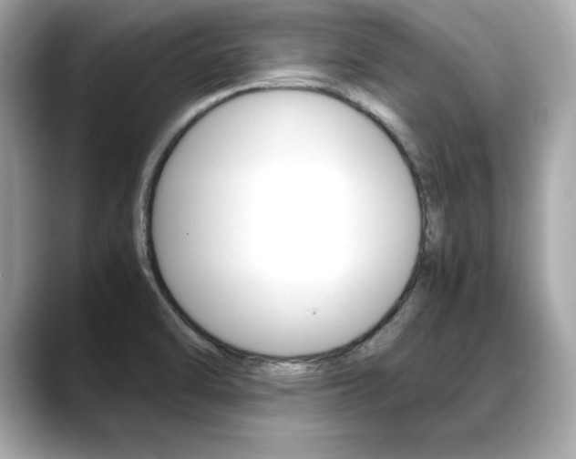 X0000088701470200705311007