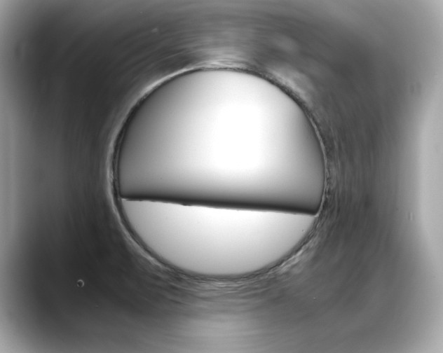 X0000088701471200705311007