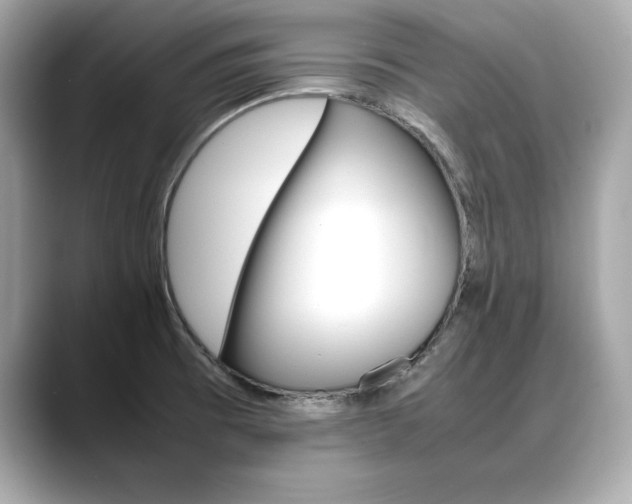 X0000088701473200705311007