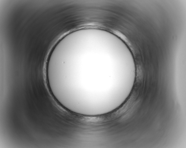 X0000088701474200705311007