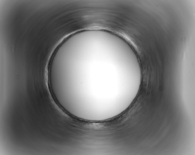 X0000088701476200705311007