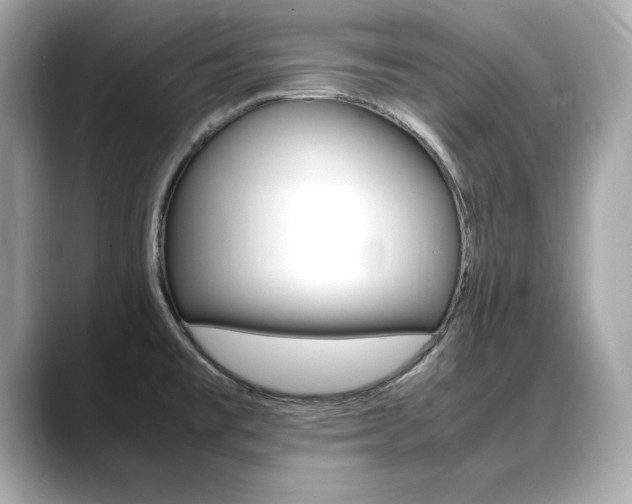 X0000088701477200705311007
