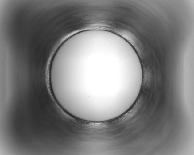X0000088701478200705311007