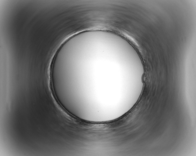 X0000088701479200705311007