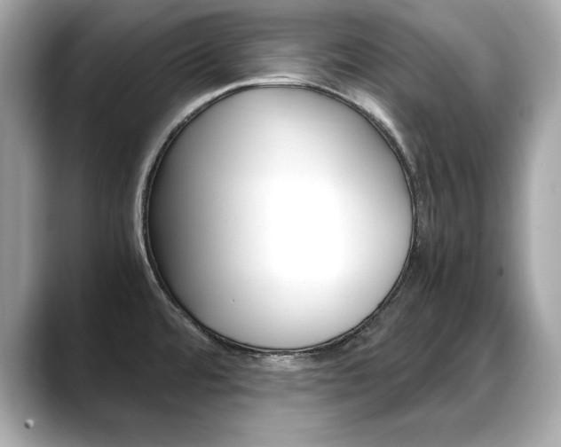 X0000088701480200705311007
