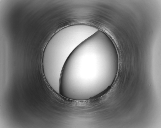 X0000088701481200705311007