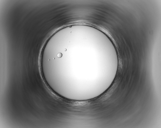 X0000088701482200705311007