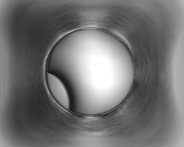 X0000088701483200705311007