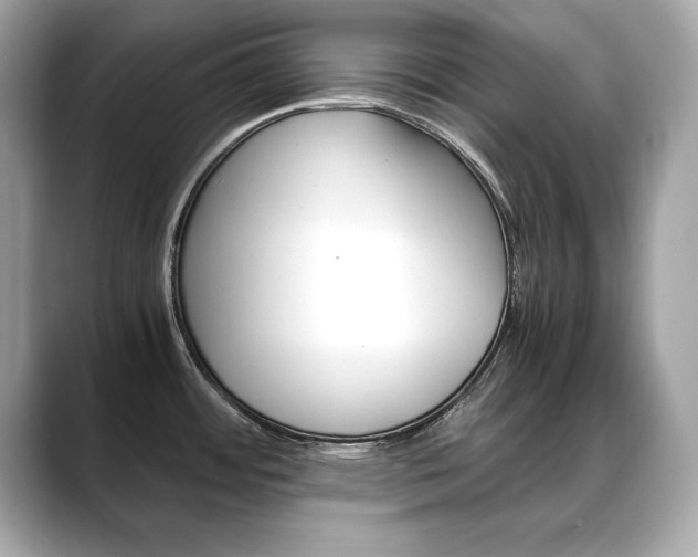 X0000088701484200705311007