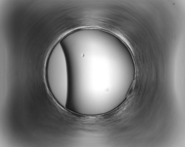 X0000088701485200705311007