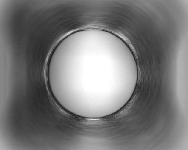 X0000088701486200705311007