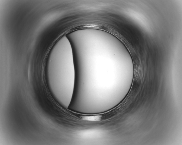 X0000088701487200705311007