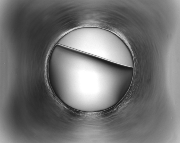 X0000088701488200705311007
