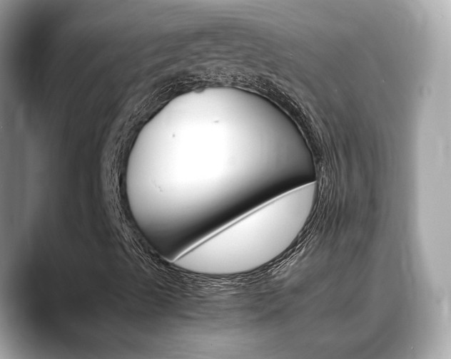 X0000088701489200705311006