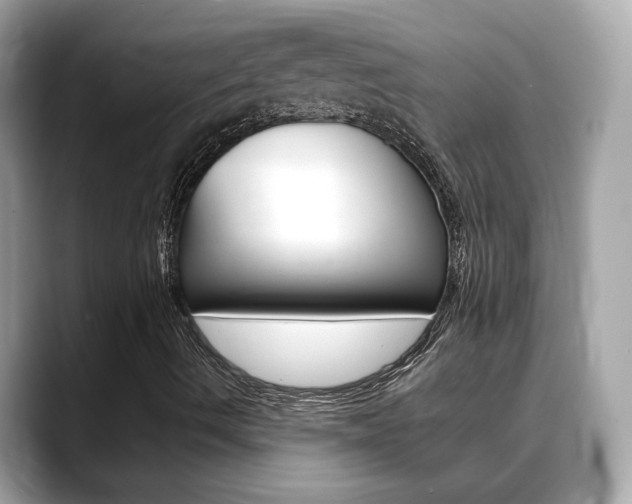 X0000088701490200705311006