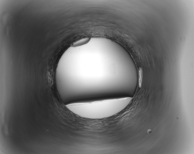 X0000088701491200705311006