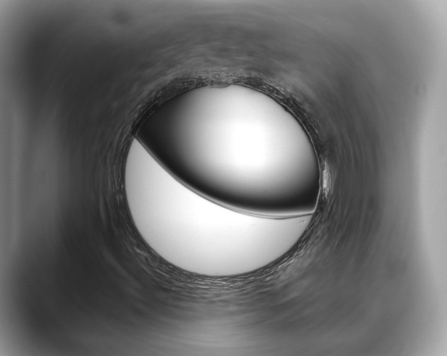 X0000088701492200705311006