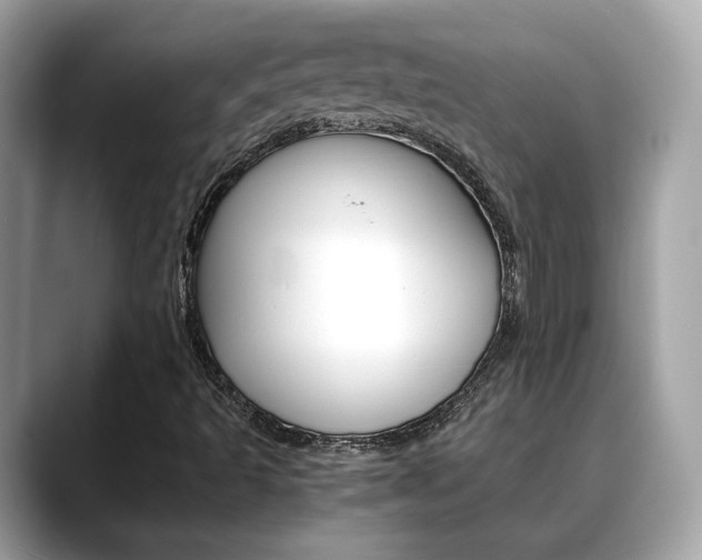 X0000088701493200705311006