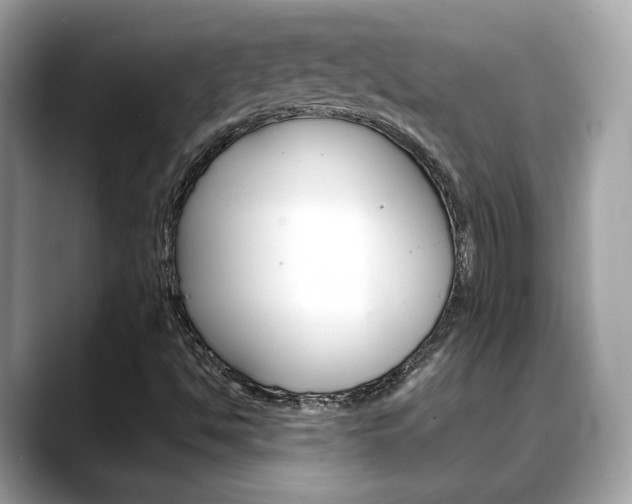X0000088701494200705311006