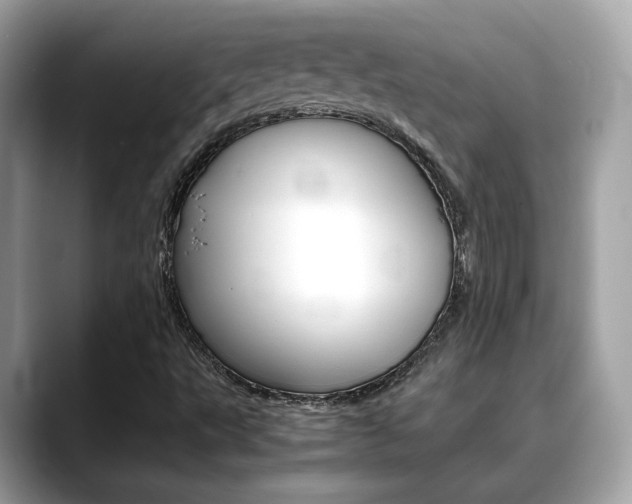 X0000088701495200705311006