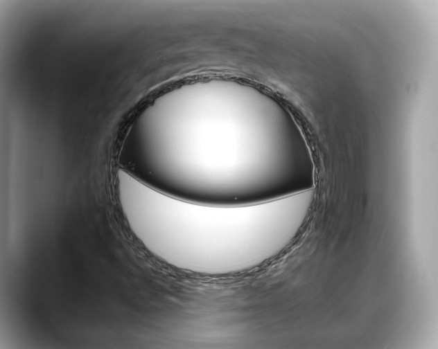 X0000088701496200705311006