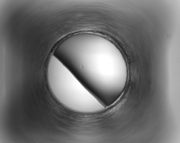 X0000088701497200705311006